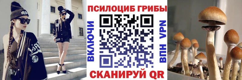 Галлюциногенные грибы Psilocybe Арсеньев