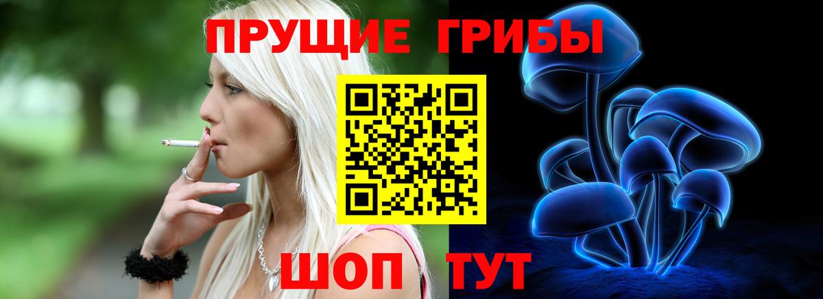 Арсеньев  что такое   Вход с VPN  Псилоцибиновые грибы мицелий 
